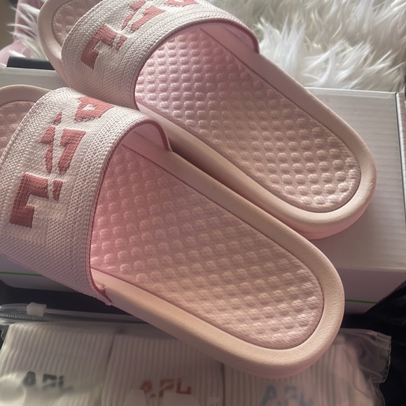 APL Slides - Picture 4 of 9